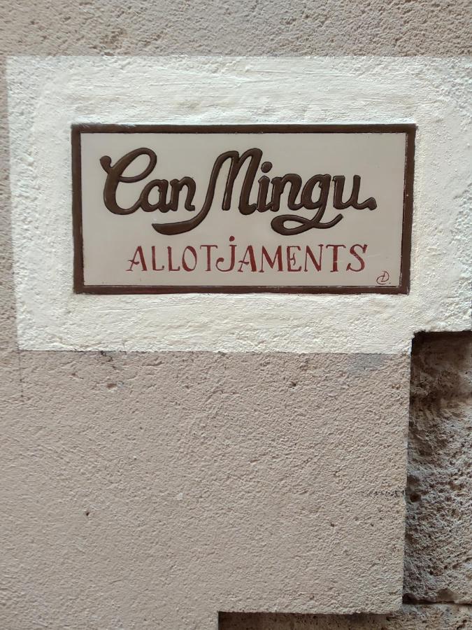 Apartament Can Mingu 2On Pis 贝萨卢 外观 照片